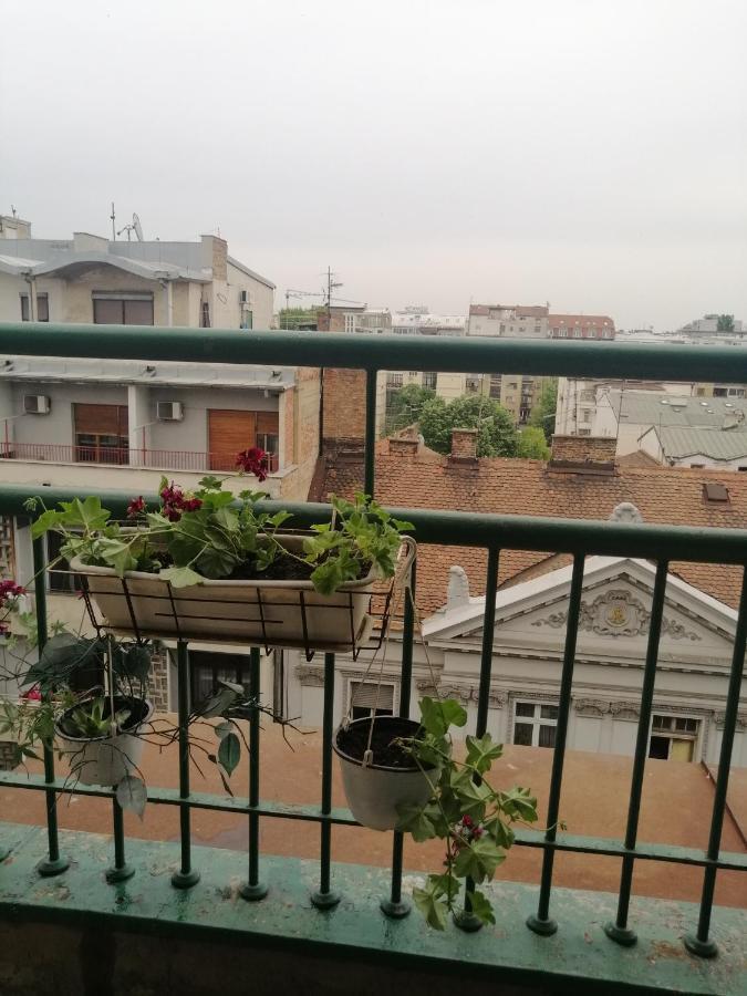Apartman Centar Beograd Ngoại thất bức ảnh